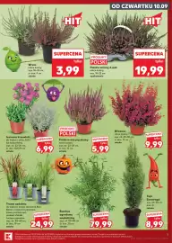 Kaufland gazetka tydzień 37 Strona 7: Wrzosiec €9,99, Tuja Szmaragd €8,99