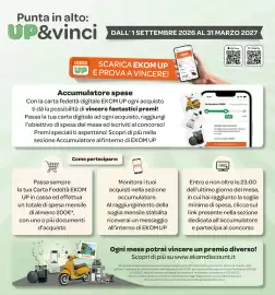 Volantino Ekom Pagina 12