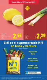 Catálogo Lidl semana 38 Página 3: Puerro €2,29, Limón malla €2,55