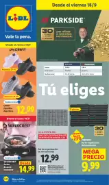 Catálogo Lidl | Bazar Página 1: Crivit zapatillas deportivas €12,99, Silvercrest sartén de acero inoxidable €14,99