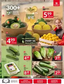 Selgros gazetka Strona 3: Ogórki krótkie €5,24, Sałata Little Gem €4,19