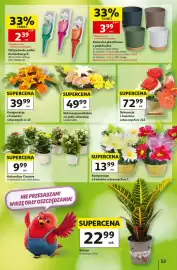 Auchan gazetka tydzień 37 Strona 13: Dekoracja podłużna na jodle sztucznej kształt łódki €49,99