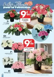 Catalogue La Foir'Fouille page 14: JARIDNIÈRE DE 10 PIVOINES €7,99, COMPOSITION D'HORTENSIAS €6,99