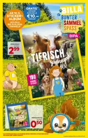 Billa Box Flugblatt woche 37 Seite 5