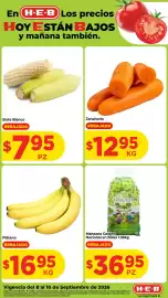 Folleto HEB Página 1: Zanahoria €12,95, Elote Blanco €795,00