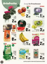 Volantino Conad Tuday Pagina 6: Uva bianca senza semi bio alce nero €3,29, Prugne denocciolate Conad €2,89