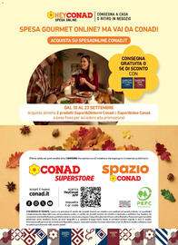 Volantino Conad Pagina 20