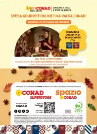 Volantino Conad Pagina 20