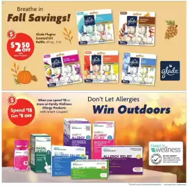 Family Dollar weekly ad Page 11