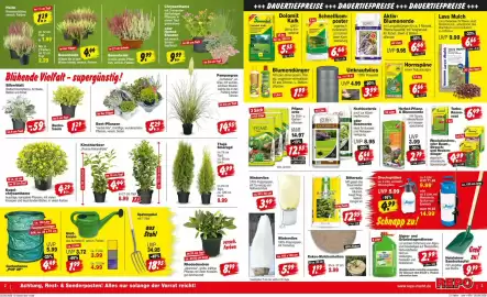 Repo Markt Prospekt woche 37 Seite 2