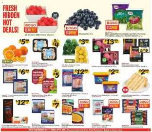 Winn Dixie weekly ad week 37 Page 9: Garden Fresh Salsa €2,99, 2 lb Bag Lemons or Limes €3,99