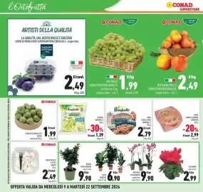 Volantino Conad Pagina 28