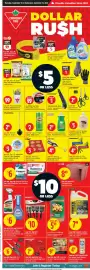 Canadian Tire flyer week 37 Page 1: Comet powder cleanser €2,00, Fresh Start cat litter €9,99