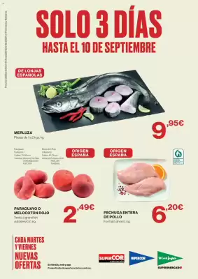 Hipercor (válido hasta el 10-09)