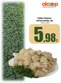 Folleto Super Alcoop Página 12