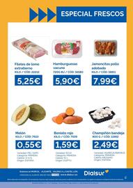 Folleto Dialsur Cash & Carry semana 37 Página 2: Origen - boniato rojo €1,59, Hamburguesas vacuno €5,90