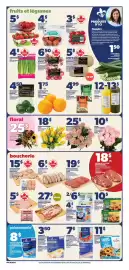Provigo flyer week 37 Page 3: Seaquest crab or lobster flavoured pollock flakes or chunks €1,67