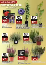 Bi1 gazetka Strona 18