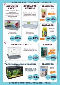 Volantino ZooPlanet Pagina 14: Gabbia volatili, Gabbia per conigli
