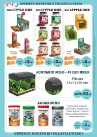 Volantino ZooPlanet Pagina 9: Rio Little One €2,50