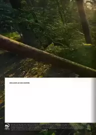 Catálogo Stihl Página 308