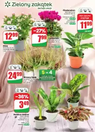 Dino gazetka tydzień 37 Strona 55