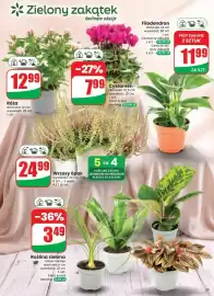 Dino gazetka tydzień 37 Strona 55