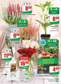 Dino gazetka tydzień 37 Strona 56
