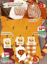 Dino gazetka tydzień 37 Strona 58