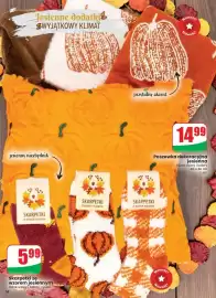 Dino gazetka tydzień 37 Strona 58