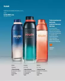 Catálogo Natura Página 38