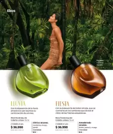 Catálogo Natura Página 51