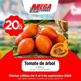 Catálogo MegaTiendas Página 1