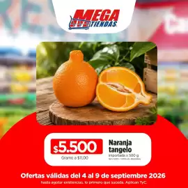 Catálogo MegaTiendas Página 2
