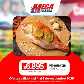 Catálogo MegaTiendas Página 3