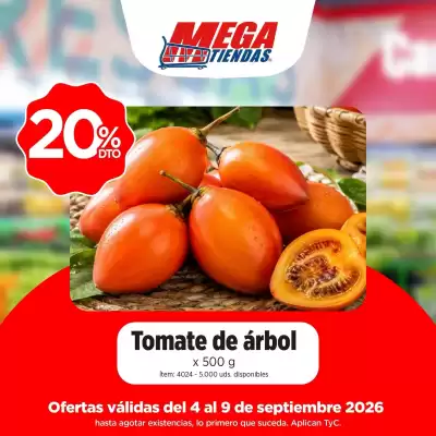 MegaTiendas (válido hasta 9-09)