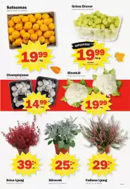 Pekås reklamblad vecka 38 Sida 7: Satsumas €19,99, Gröna Druvor €19,99