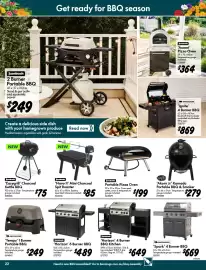 Bunnings catalogue Page 22