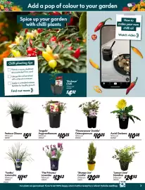 Bunnings catalogue Page 3