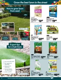 Bunnings catalogue Page 6
