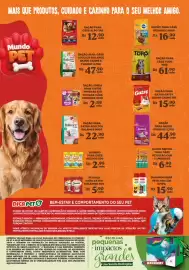 Catálogo Bahamas Supermercados Página 16: Ração para gatos adultos balance €22,90