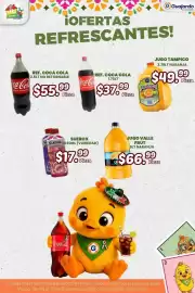 Folleto Guajardo Página 11: Jugo Valle Frut €66,99, Coca Cola Sabor Original €55,99