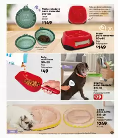 Catálogo Cklass Página 115