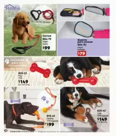 Catálogo Cklass Página 52
