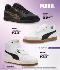 Catálogo Cklass Página 137