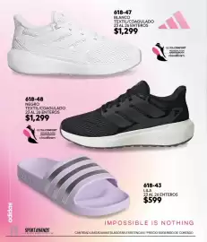 Catálogo Cklass Página 143