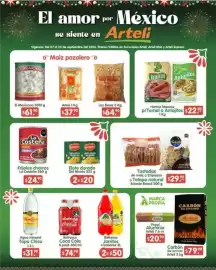 Folleto Arteli Página 2