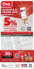 Folleto Dia semana 37 Página 12