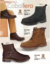 Catálogo Cklass Página 253