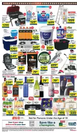 Pick n Pay catalogue Page 8: Brutal Fruit Spritzer Assorted €195,00, GC Coatings Contractors PVA €279,99
